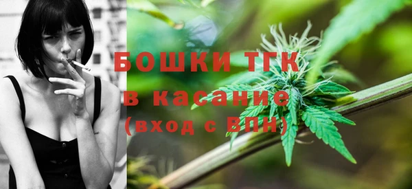 гидра Яровое