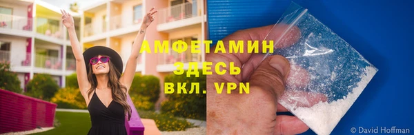гидра Яровое