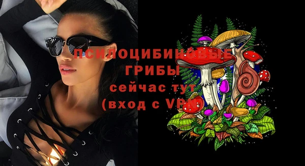 гидра Яровое