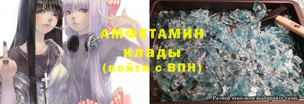 гидра Яровое