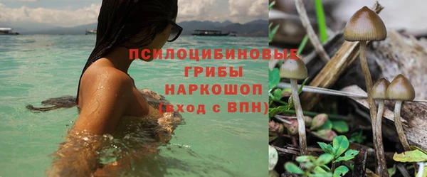 герыч Янаул